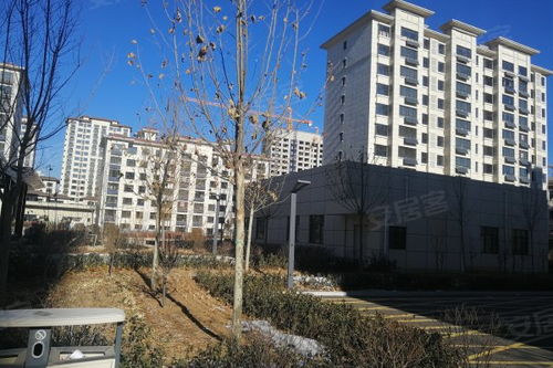 山水天成 秦皇岛海港区的宜居之选与理性审视