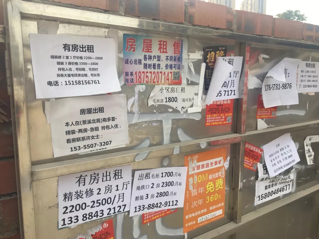 星汇悦城南侧公告栏 房屋经纪与房屋出租广告的观察